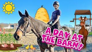 My Barn Routine!