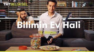 Bilimin Ev Hali | Beynimiz Nasıl Algılar? | TRT Belgesel