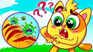 Why Do We Have Scabs Song | Educational Kids Songs  And Nursery Rhymes by Baby Zoo