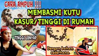 CARA MEMBASMI KUTU KASUR / TINGGI DI RUMAH ‼️