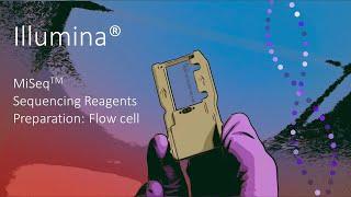 How To: Illumina MiSeq Sequencing Reagents - Flow Cell