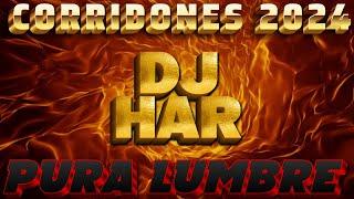 CORRIDONES 2024 PURA LUMBRE CORRIDOS PESADOS 2024  DJ HAR