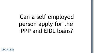 Can Sole Proprietor Apply For PPP