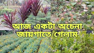 বিকেলে একটা জায়গাতে গিয়ে আমি অবাক হয়ে গেলাম||Daily life bangla vlog||IMSIM VLOG||