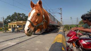 Dangerous Horse Headed Intercity Express Dust Storm Moving Throughout at Railgate