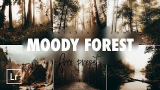 Moody Forest — Mobile Preset Lightroom DNG | Tutorial | Download Free | Forest Photo | Moody Preset