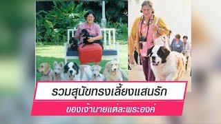 [Celeb Online] สุนัขทรงเลี้ยงหลากสายพันธุ์ของราชวงศ์ไทย