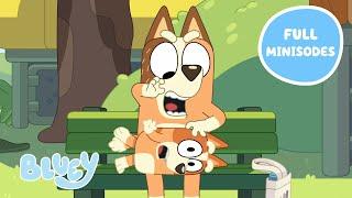 FOURTEEN Minisodes in ONE!  | NEW Full Bluey Minisodes Compilation | Bluey