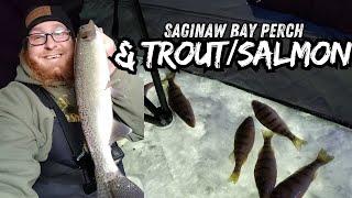 Ice Fishing Saginaw Bay Perch And Salmon/Steelhead