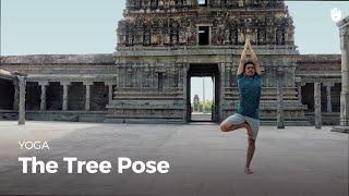 Learn the Tree Pose - Vrikshasana | Yoga