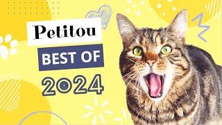 Best Of Petitou 2024