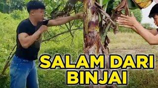 Lagi Viral ~Kumpulan video TikTok Salam Dari Binjai yang Viral di Tik Tok!!!