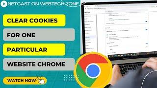 How to Clear Cookies for one Particular Website Chrome