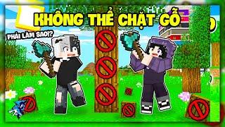 Minecraft nhưng Bạn Không Thể Chặt Gỗ | Siro Dỗi Noob Ruby Vì Giành Kim Cương