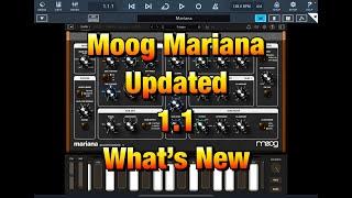 Moog Mariana Synth - 1.1.0 Update - 45 New Presets - 4 New Filter Slope Options & More