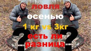 ловля рыбы 1кг vs 3 кг есть ли разница