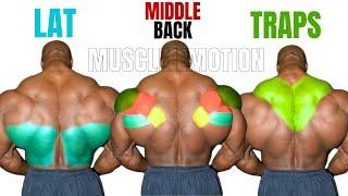 TOP 15 BEST BACK WORKOUT AT GYM  ( LATISSIMUS DORSI ,MIDDLE, BACK,  TRAPS MUSCLE )