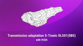 Transmission adaptation S-Tronic DL501 with VCDS