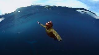 GoPro VR: Diving With a Blue Whale