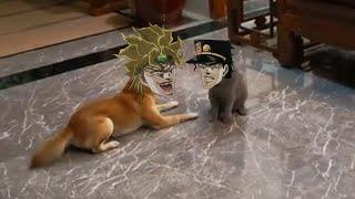 DIO vs Jotaro