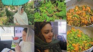 Jane se pehle ye kam kr k jati hon || Plants se bht positive energy ati hai || 2 salan aik sath