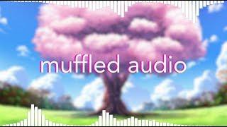 How To Make Muffled Audio On After Effects