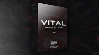 [30+] FREE DRILL DRUMS FILLS KIT "VITAL" 2023 | Free Essential Collection Vol. 1