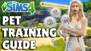 Complete Guide To Pet Training In The Sims 4