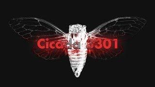 Cicada 3301: An Internet Mystery