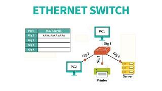 IT Support Tutorial - Ethernet Switch