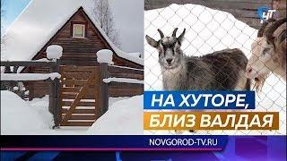 В новгородской глубинке почти в полной изоляции живет семья москвичей с детьми