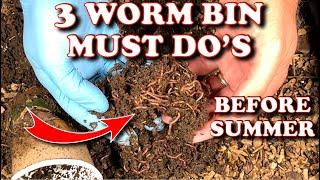 Worm Bin Changes To Make In The Summer | Vermicompost Worm Farm