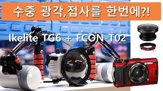 [김대표랑수중촬영#14-ikelite 광각,접사 한방에 해결,TG-6, FCON-T02 ]