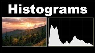 Histograms In Photography