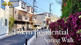 [4K] Tokyo Residential, Spring Walk. Peaceful & Quiet ️ #asmr