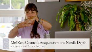 Mei Zen: Cosmetic Acupuncture and Needle Depth | Mini-lesson with Dr. Martha Lucas