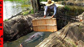 BUILDING a BRIDGE to STOP EXOTIC FISH in NEW BACKYARD POND!