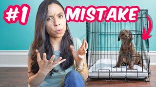 EASIEST Crate Training Schedule! Everything you need to know 