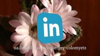 linkedin logo chroma key green screen animation free