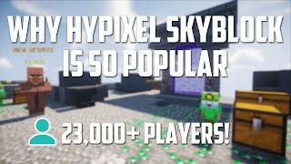 Why is Hypixel Skyblock SO SUCCESSFUL?