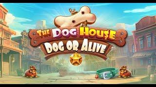 The Dog House - Dog or Alive Slot! Bonus Games! SENSATIONAL! #casino #slot #games