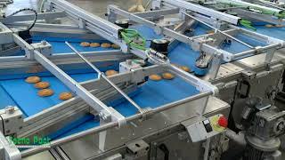 Automatic packaging system for stacked cookies