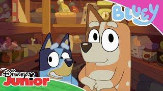  Superfan Quiz | Bluey | Disney Kids