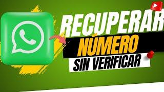  Cómo Recuperar Número de WhatsApp sin Tarjeta SIM utilizando un Número Virtual