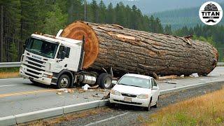 Extreme Dangerous Big Logging Wood Truck Driving Skill | Fastest Chainsaw Cutting Tree Machines #20