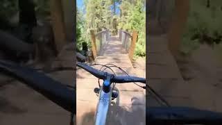 Arrow trail corkscrew, 55 and jump.  #mountainbiking #skyparkbikepark #polebikes