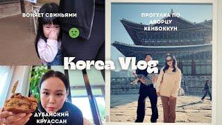 KOREA VLOG/контактный зоопарк/ прогулка по Сеулу