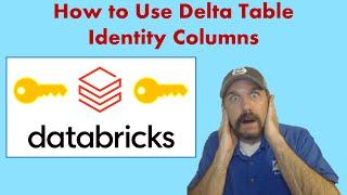 How and When to Use Databricks Identity Column