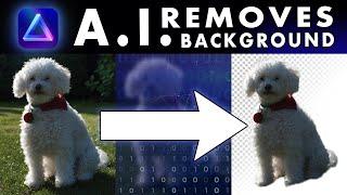 Luminar Neo Removes Background With One Click using A.I.!
