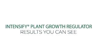 Intensify Plant Growth Regulator - Results You Can See